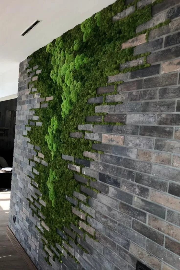 Купить искусственный мох на стену для декора Стена из стабилизированного мха Green wall of moss Vertical garden, Green wall d