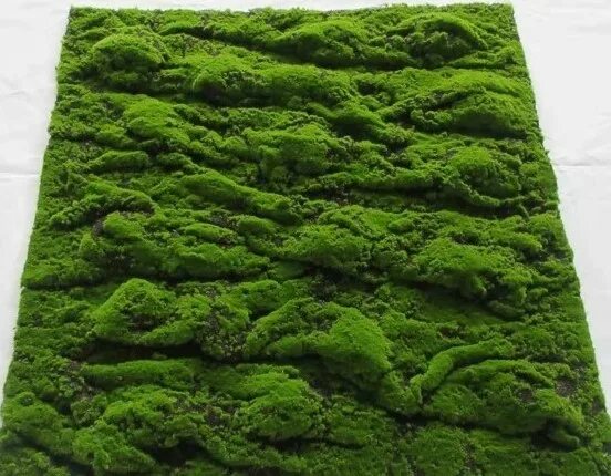 Купить искусственный мох на стену для декора Купить искусственный мох для декора - BambooCapital