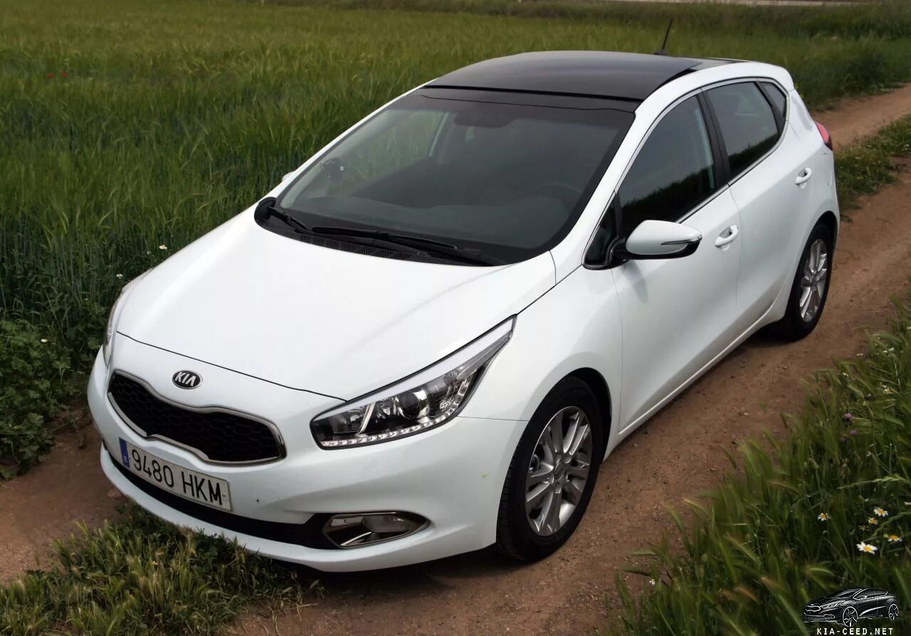 Купить киа сид фото новый kia ceed 2012 Cassa White - Kia Ceed 2 (JD) Фото