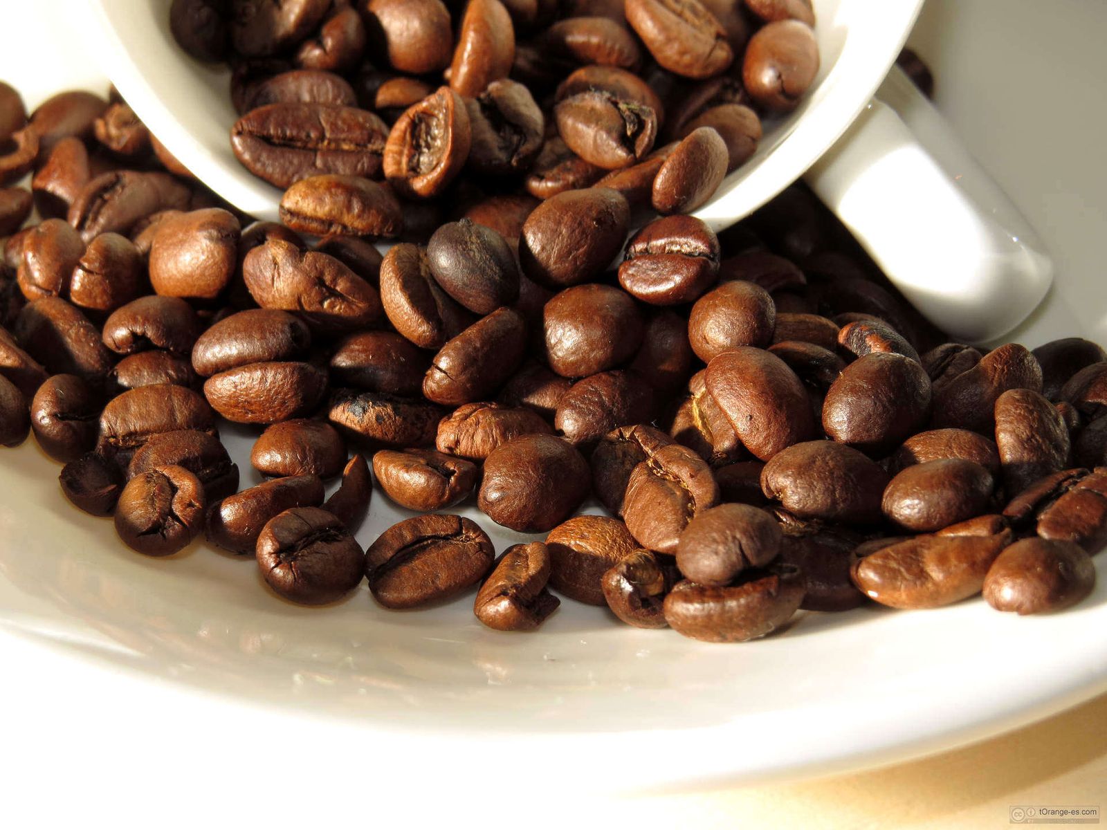 Купить кофе фото Arabica Coffee: New Database To Better Identify More Climate-resilient 4A6