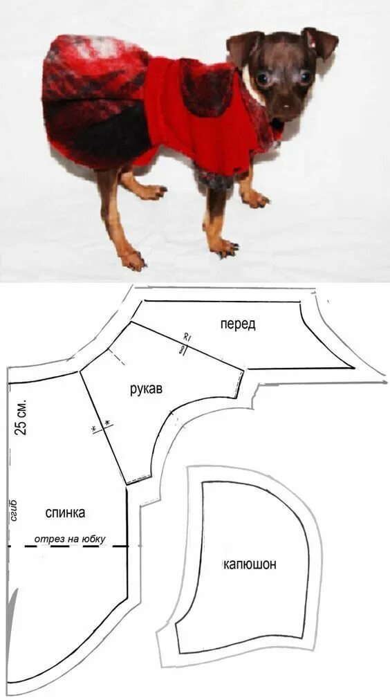 Купить лекала выкройки для собак Necesito Molde Para Ropa Para Perros Dog clothes patterns, Dog clothes patterns 