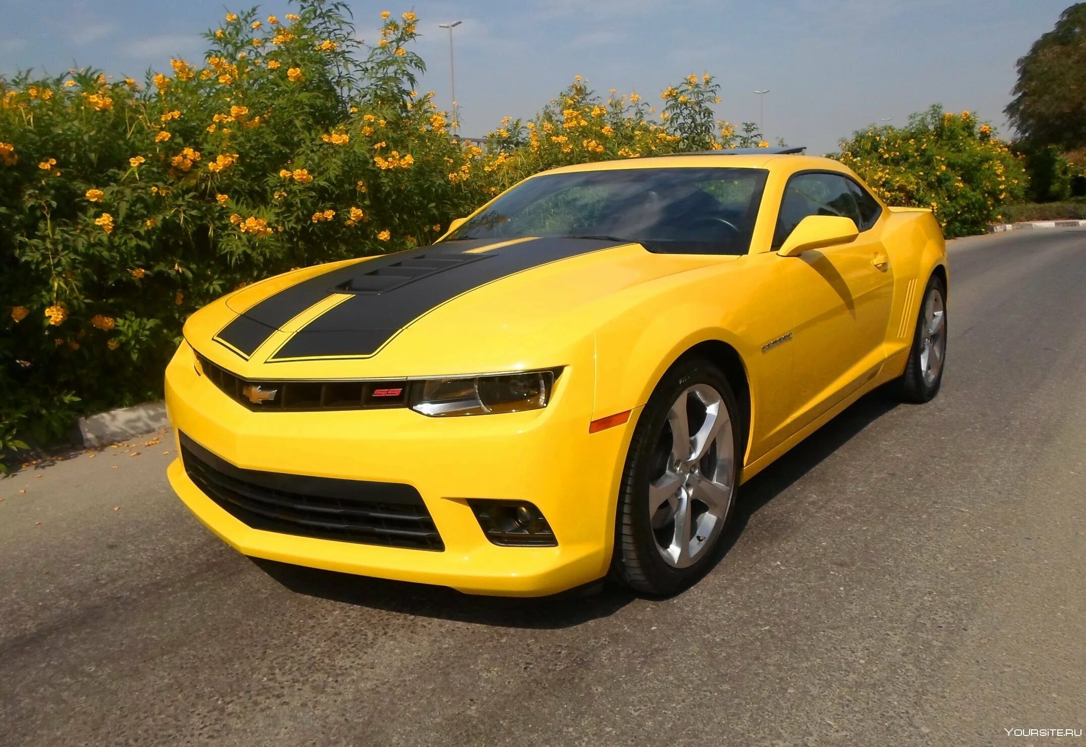 Купить машину шевроле фото Chevrolet camaro желтый