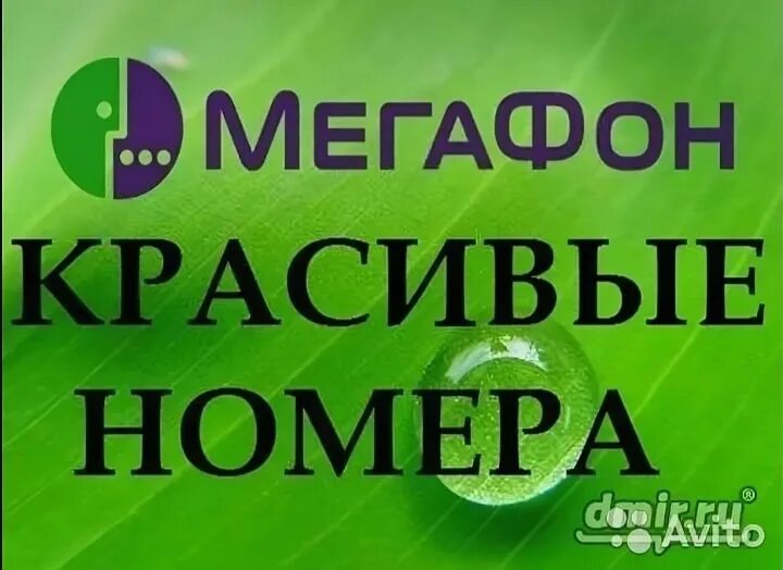 Купить мегафон номер красивый с оформлением Мегафон выбрать красивый номер телефона: найдено 73 изображений