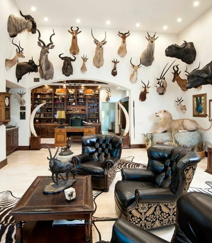 Купить на стену декор охота Pin by Kelly Marie on Taxidermy Trophy rooms, Hunting room decor, Man cave home 