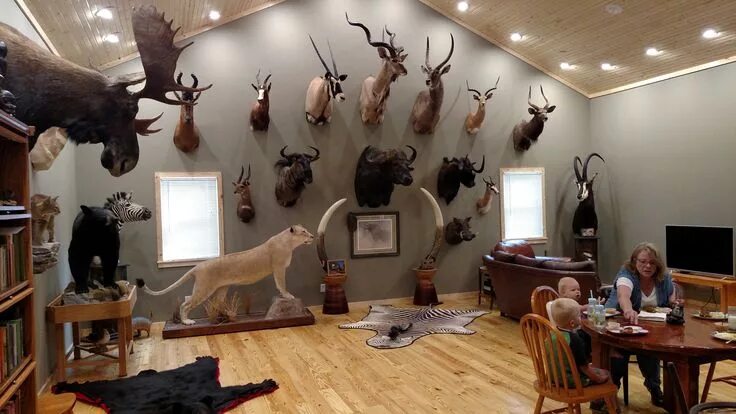 Купить на стену декор охота Taxidermy Pictures Hunting Deer hunting decor, Taxidermy decor, Taxidermy