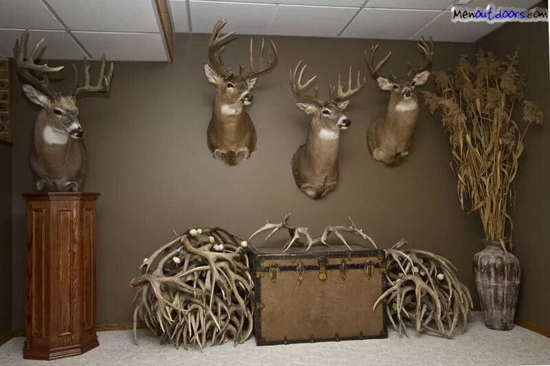 Купить на стену декор охота Man caves/Trophy room - Alberta Outdoorsmen Forum Hunting decor living room, Hun