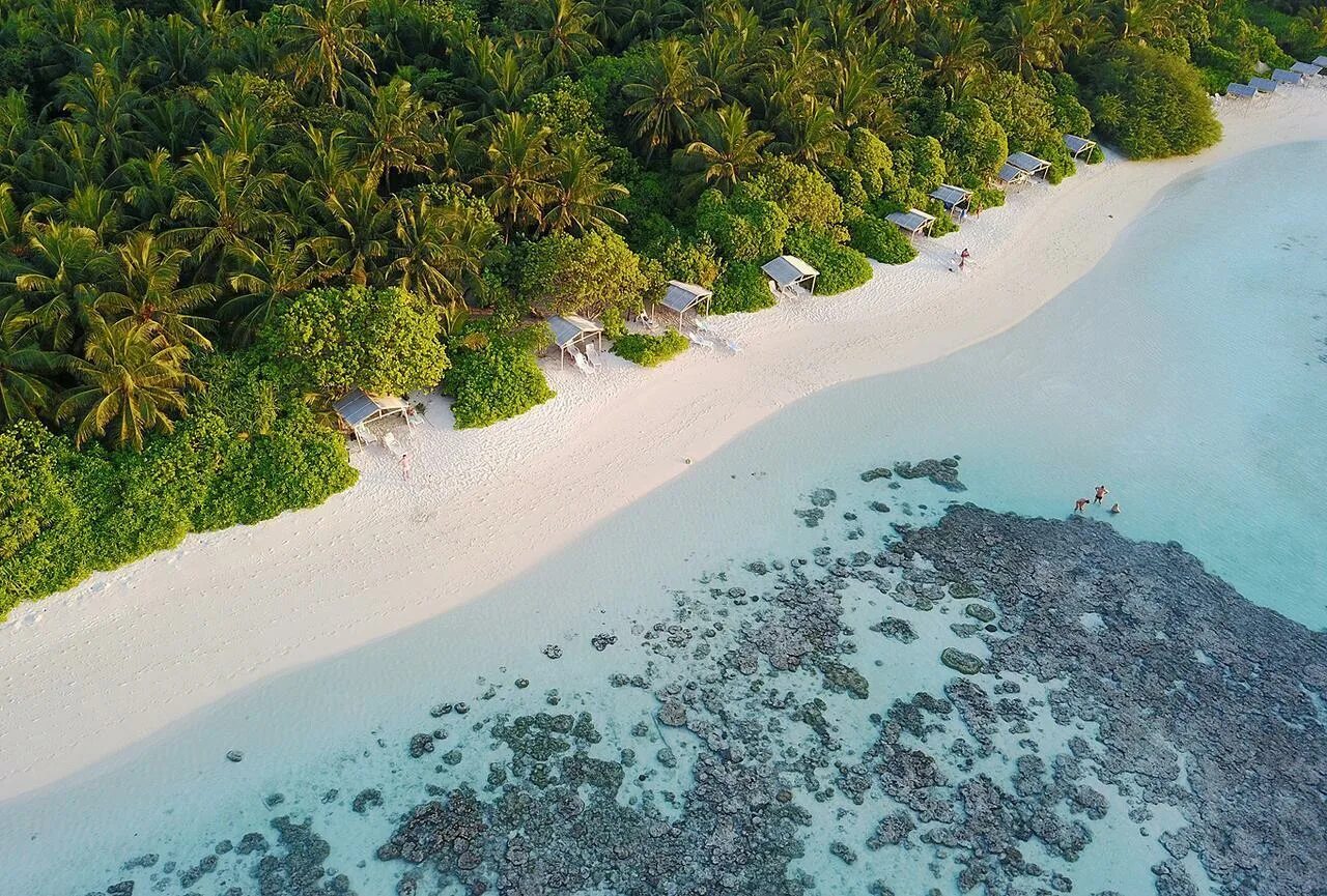 Купить остров на мальдивах цены с фото Отель Plumeria Maldives 4* / Мальдивы / Мале - фото, туры в отель