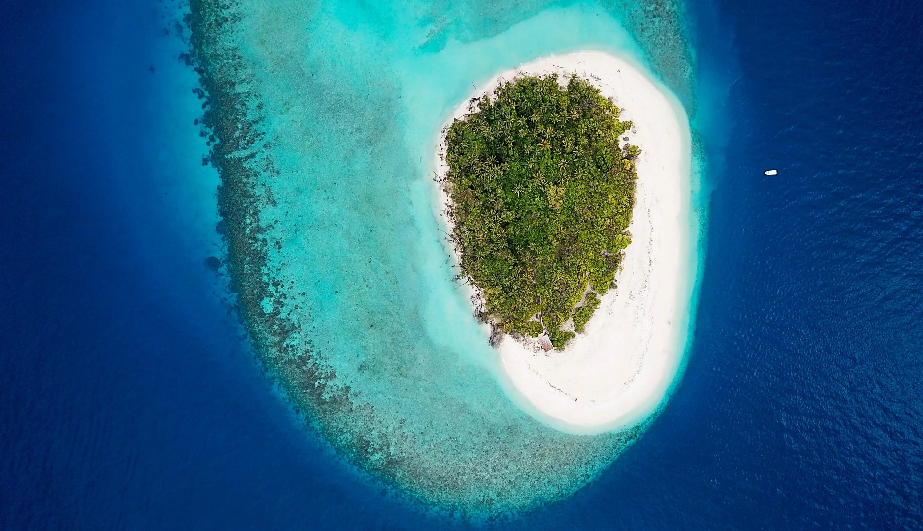 Купить остров в океане фото Rising Hopes Amid Rising Seas: Developments in International Law Addressing the 