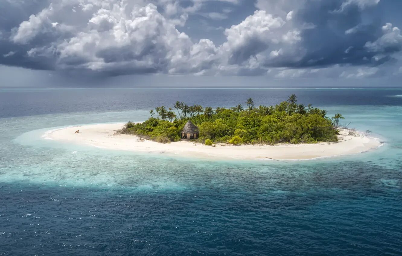Купить остров в океане фото Wallpaper palm trees, island, The Maldives, The Indian ocean, sand, Andrew Chabr