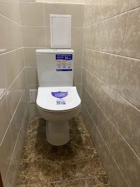 Купить плитку для туалета фото Замена труб,выравнивание стен, укладка плитки, монтаж унитаза, монтаж подвесного