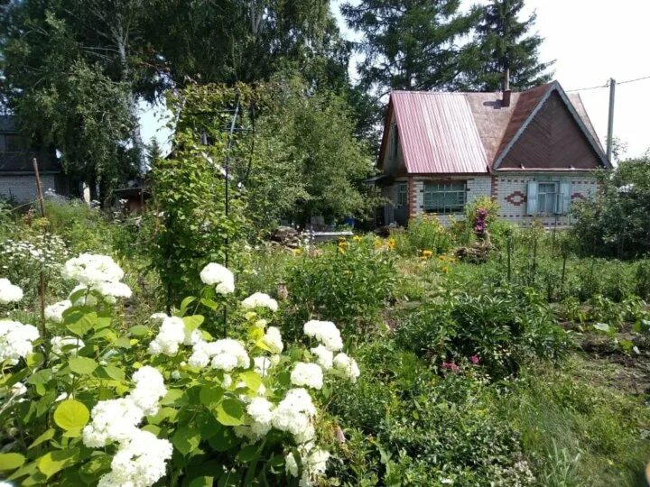 Купить сад недорого с фото Неактивно
