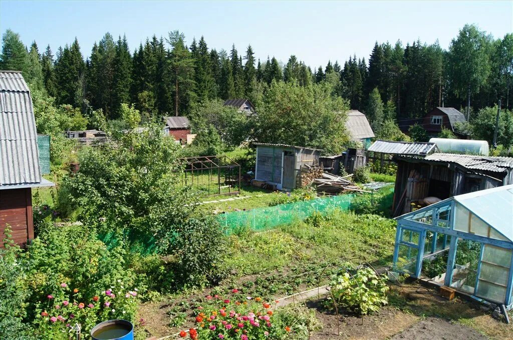 Купить сад недорого с фото Продам сад в п Порошино 50 кв м 5 сот купить за 500000 р. в Кирове из рук в руки