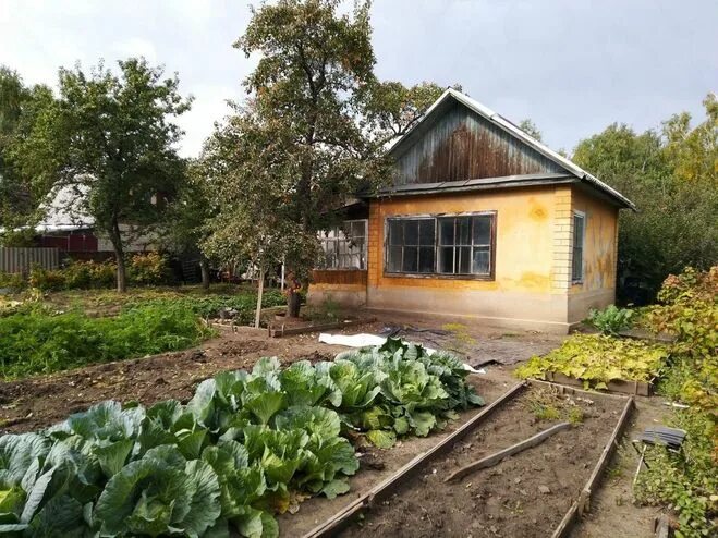 Купить сад недорого с фото Дачу в челябинске с фото свежие объявления - Фотобанк Fotodao.ru