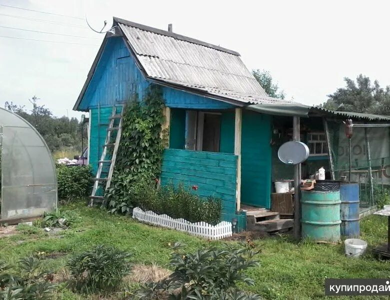 Купить сад недорого с фото Срочно!!! Продам участок в саду "Родничок" - купить в Реже, цена 145 000 руб., п
