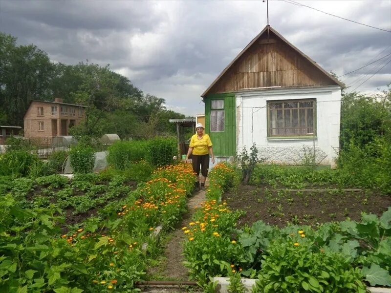 Купить сад недорого в челябинске фото Продам сад в Магнитогорске