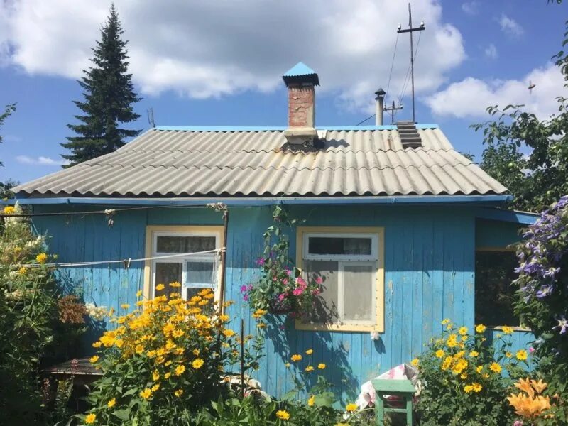 Купить сад недорого в челябинске фото Купить участок садовый, дачный, СНТ, ДНП, 6 cот., Челябинск, цена 1 руб., № 9501