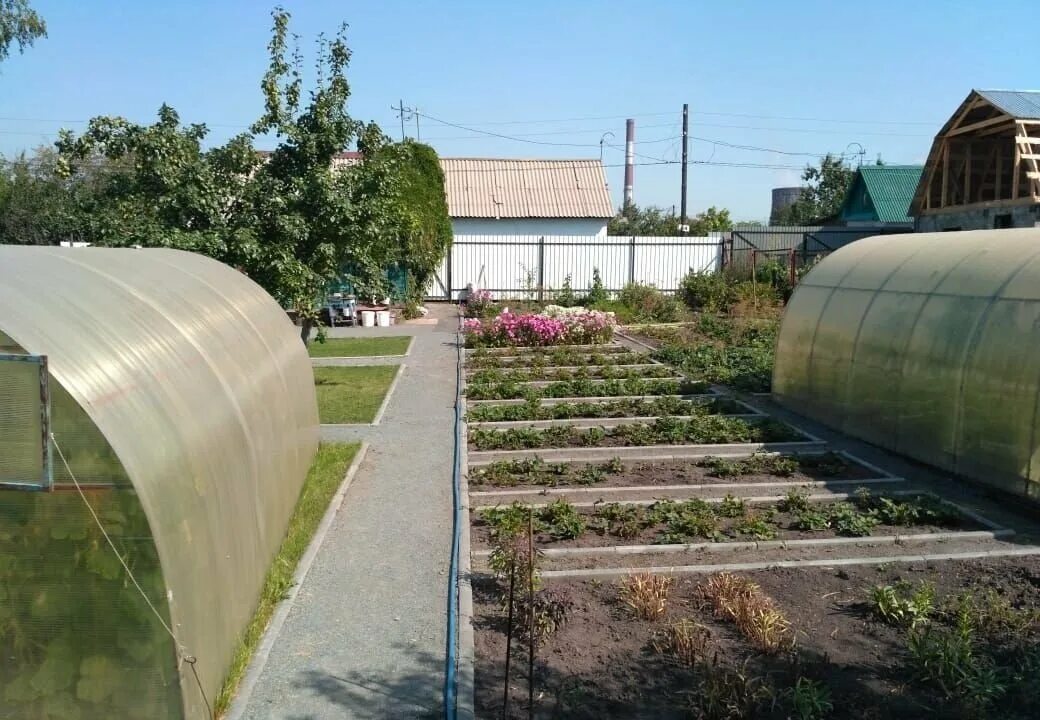 Купить сад в челябинске с фото Как потопаешь - так потом и полопаешь: обязательная работа садовода в начале авг