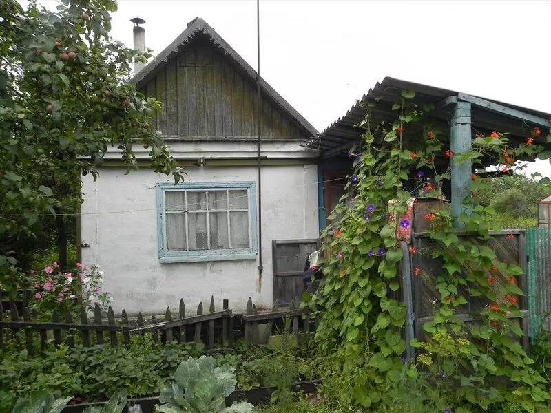 Купить сад в челябинске с фото Продам недорого сад СНТ Дружба Сады в Челябинске 33139607