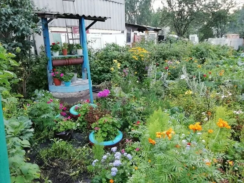 Купить сад в челябинске с фото Продам сад в Челябинске