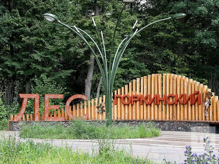 Лес просп мира 19а фото На фестиваль "Играем в парке!" приглашают казанцев в Горкинско-Ометьевский лес -