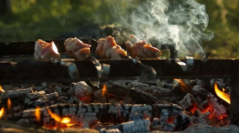 Лес шашлыки фото Зеленодольск муниципаль районы