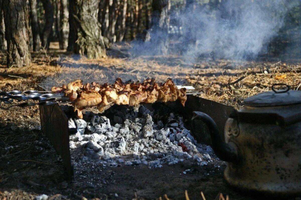 Лес шашлыки фото Как жарить шашлыки: особый противопожарный режим завершён в Татарстане АиФ Казан