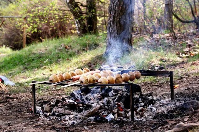 Лес шашлыки фото В Татарстане появятся площадки для шашлыков - РБК