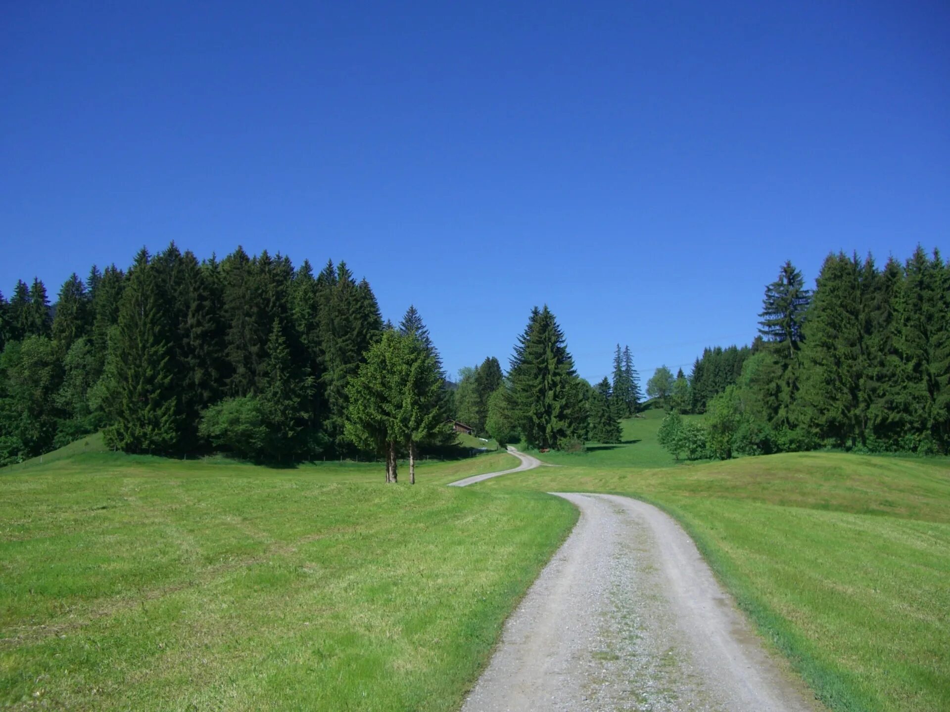 Лес вдали фото Free Images : landscape, tree, nature, forest, grass, wilderness, sky, trail, fi