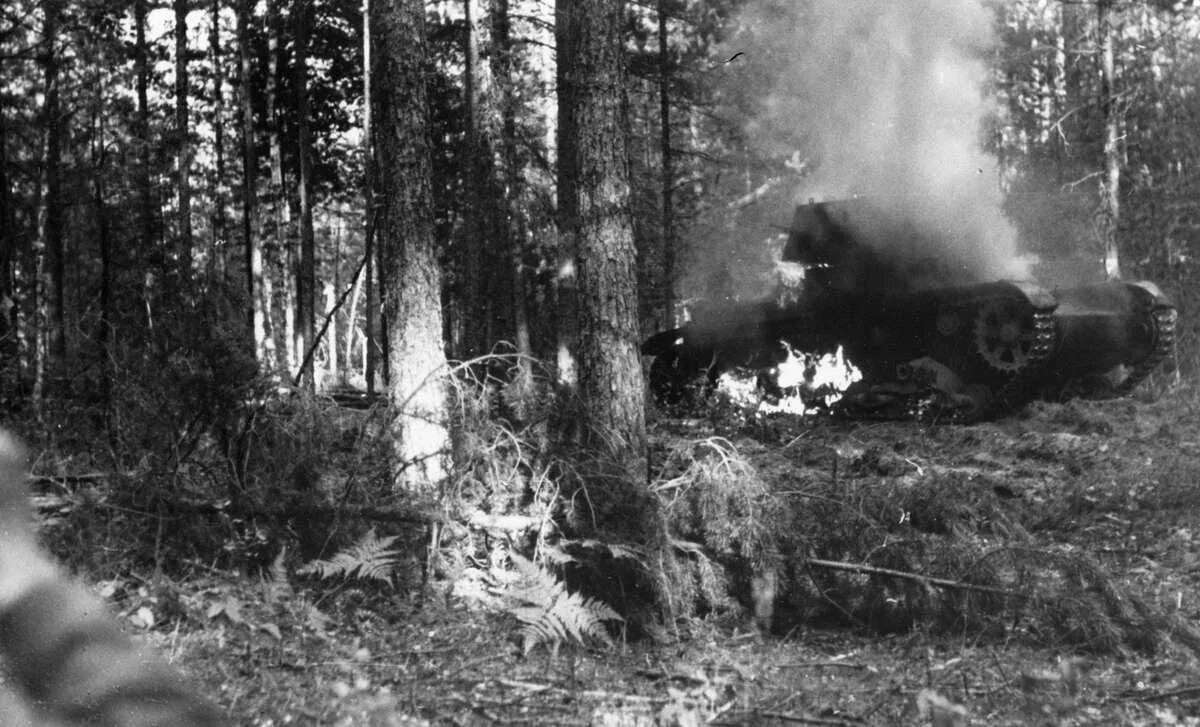Лес война фото Воспоминания о войне. Конец ноября 1941 года World War II Дзен