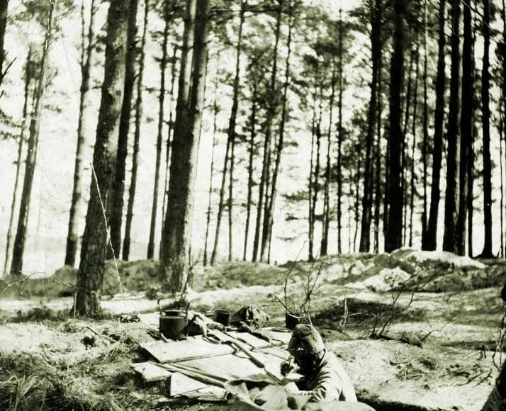 Лес война фото The defense of Riga