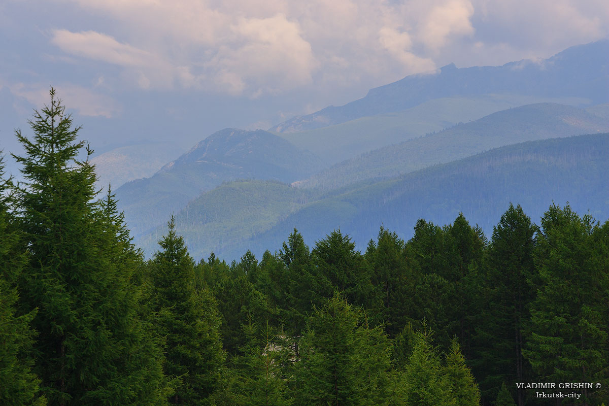 Леса байкала фото Baikal forest иркутск