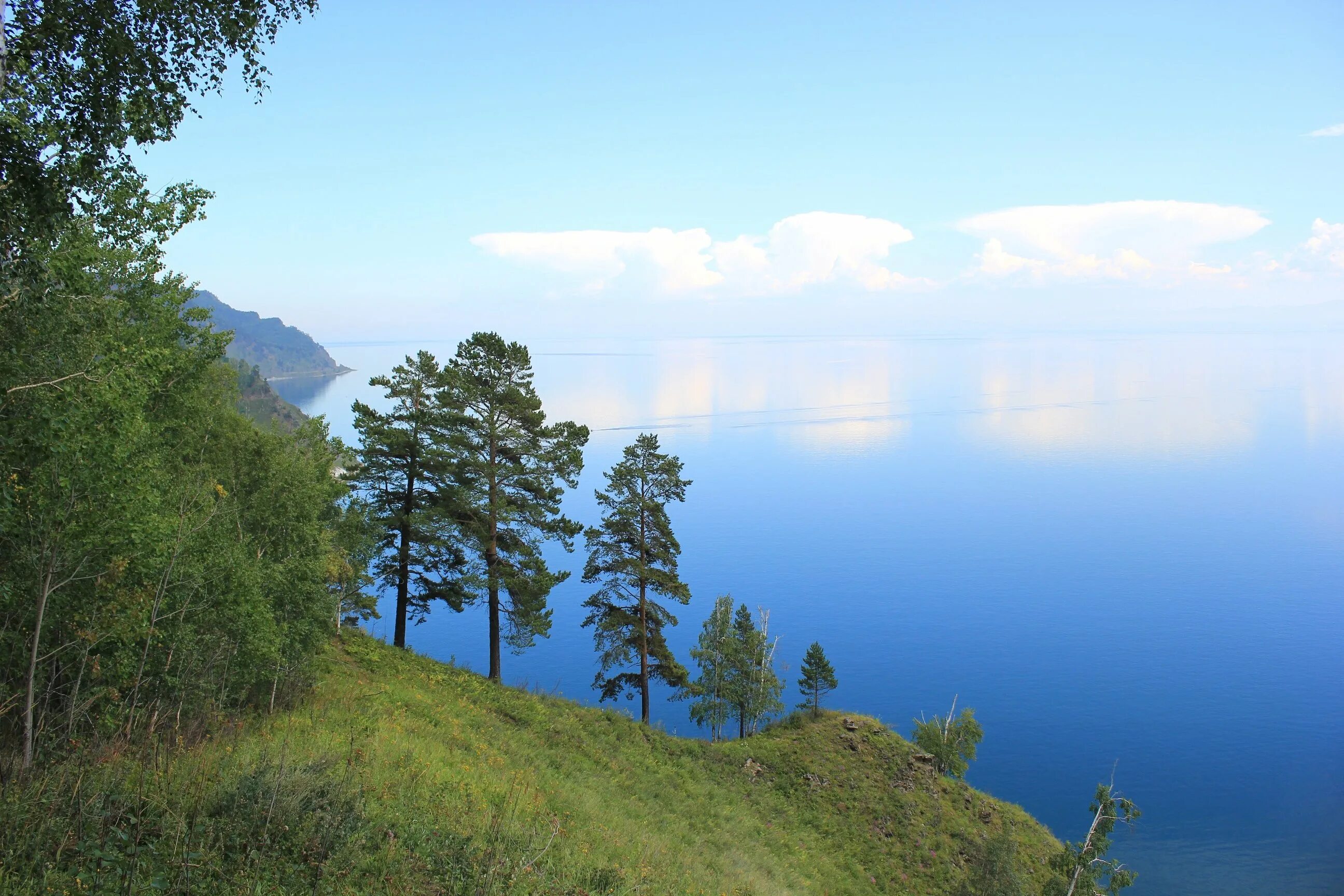 Леса байкала фото Baikal forest