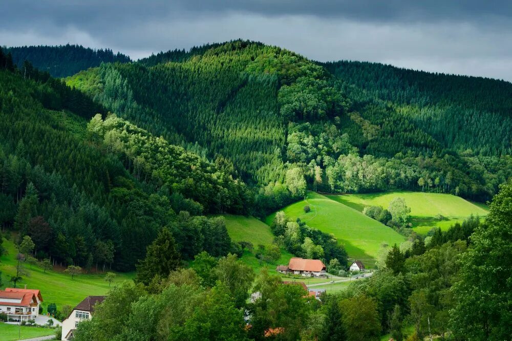 Леса германии фото 17 Most Beautiful Places In Germany - Savored Journeys