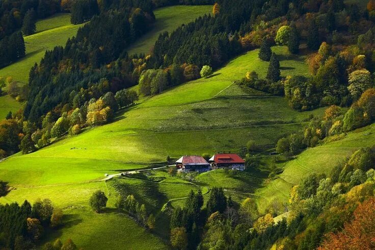 Леса германии фото Schwarzwald Wonders of the world, Black forest germany, Black forest