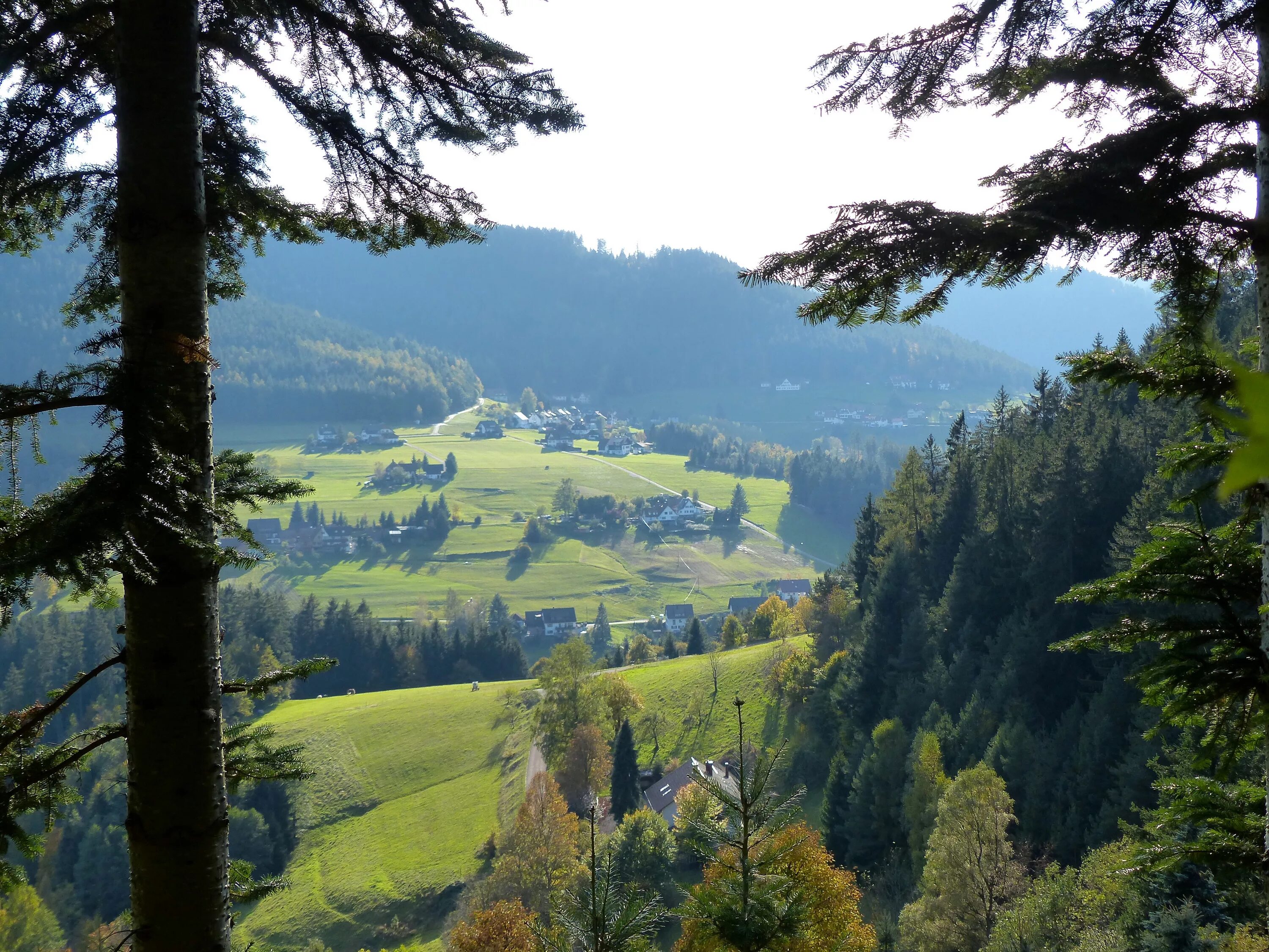 Леса германии фото Free Images : landscape, tree, nature, wilderness, hiking, trail, meadow, fall, 