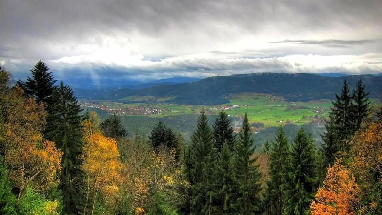 Леса германии фото Картина на холсте 60x110 LinxOne "Природа, пейзаж" интерьерная для дома / на сте