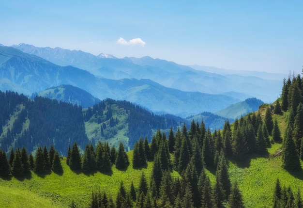 Леса казахстана фото Premium Photo Beautiful summer mountain landscape with blue smoke and forest kaz
