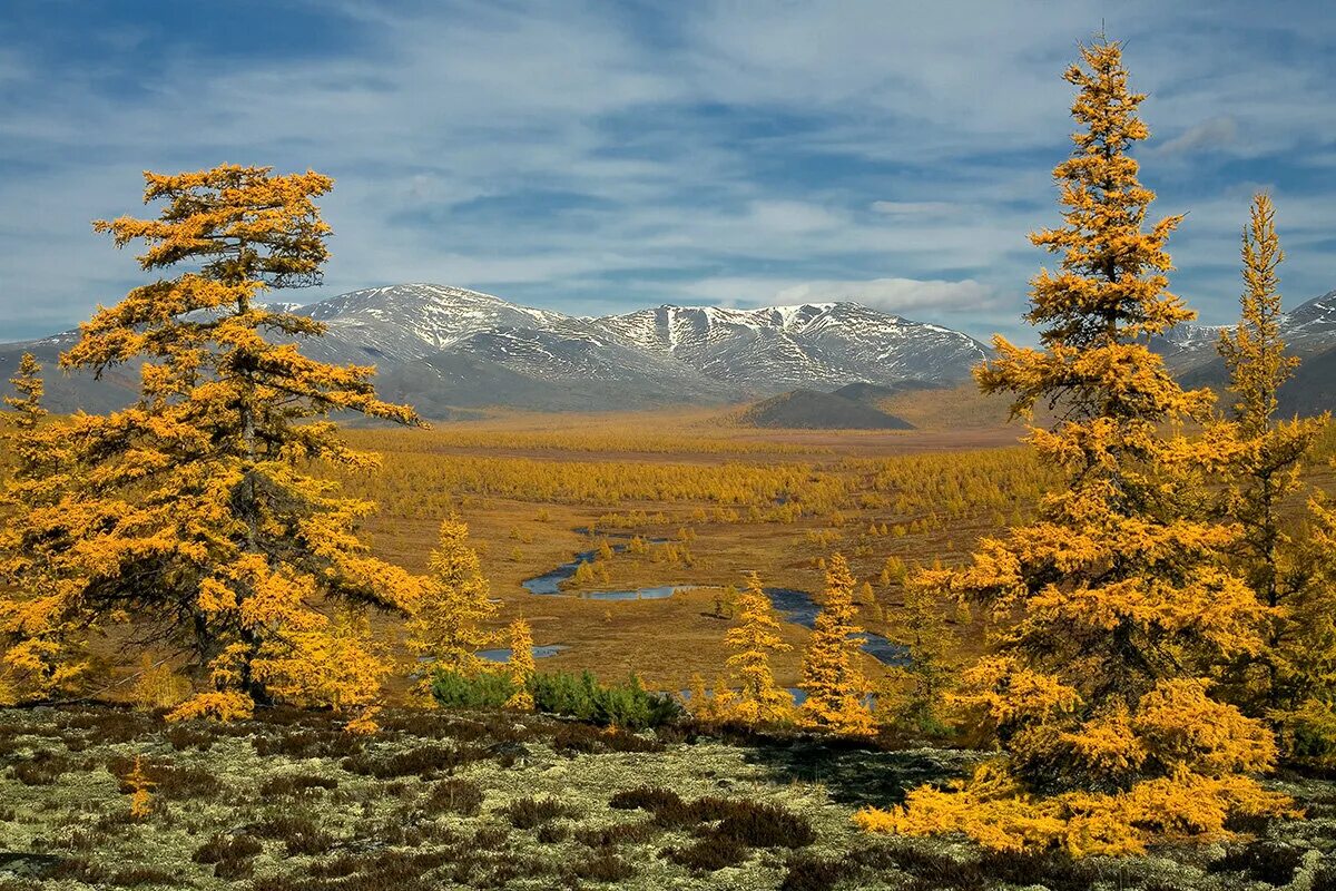 Леса магаданской области фото Золотая осень на Колыме. Озеро Джека Лондона. Photogeographic Дзен