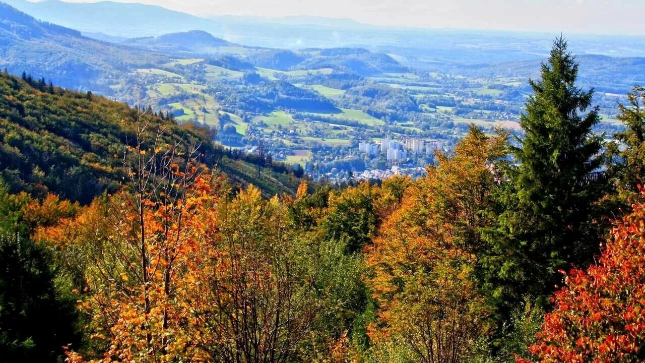 Леса польши фото Картина на холсте 60x110 LinxOne "Природа, пейзаж" интерьерная для дома / на сте