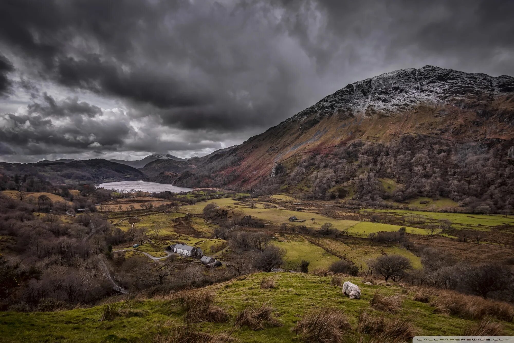 Леса шотландии фото Beautiful Scottish countryside in the Highlands Ultra HD Desktop Background Wall