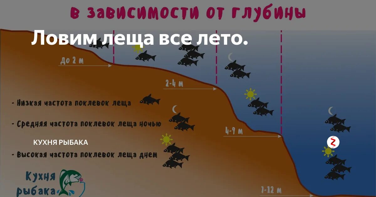 Лещ где ловить и на что На что лучше ловить в пруду: найдено 83 картинок