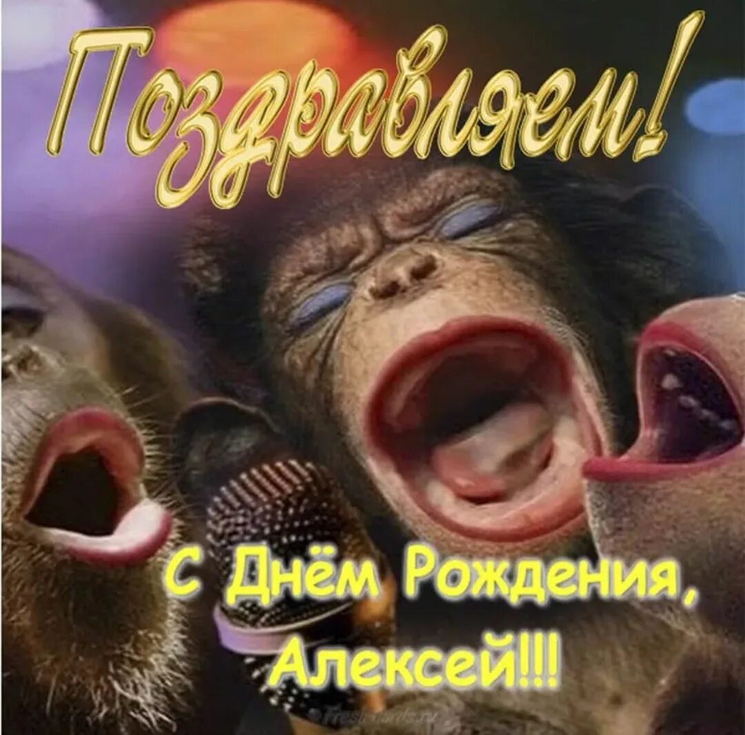 Лешик с днем рождения картинки прикольные С Днём Рождения, Алексей! - Сообщество "Клуб Почитателей Кассетных Магнитофонов"