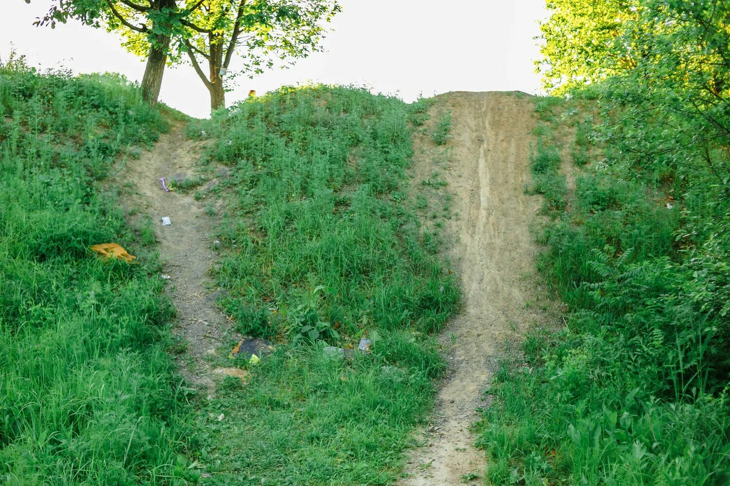 Леший овражная ул 19 село рогатово фото Что скрыто в оврагах улицы Малиновского в Хабаровске