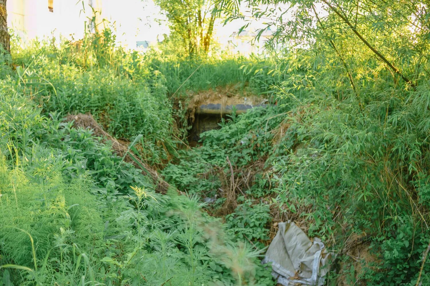 Леший овражная ул 19 село рогатово фото Что скрыто в оврагах улицы Малиновского в Хабаровске