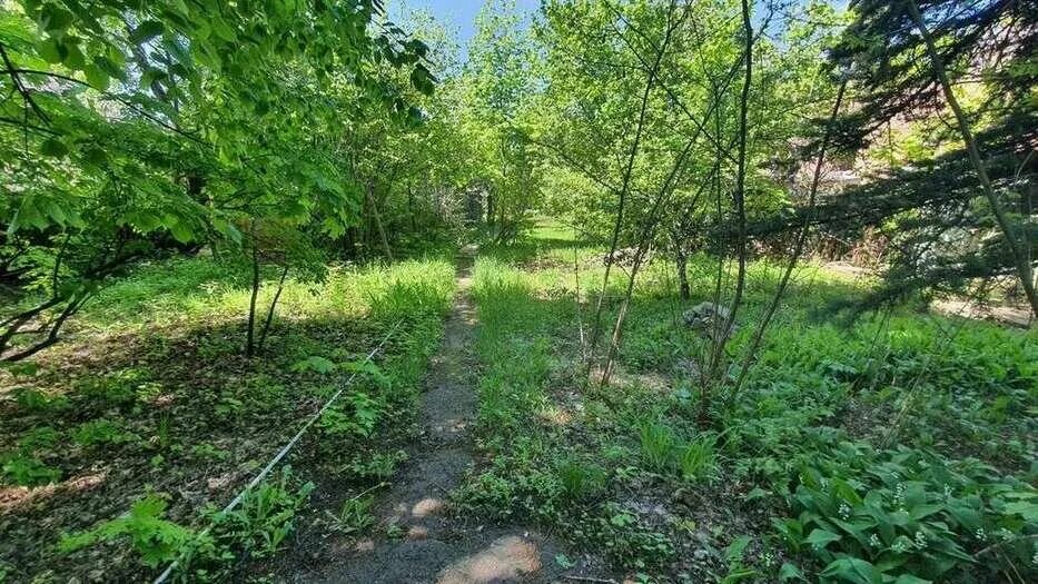 Леший овражная ул 19 село рогатово фото Купить участок 15,7 сотки по адресу Самара, улица Студеный Овраг - id 3921965004