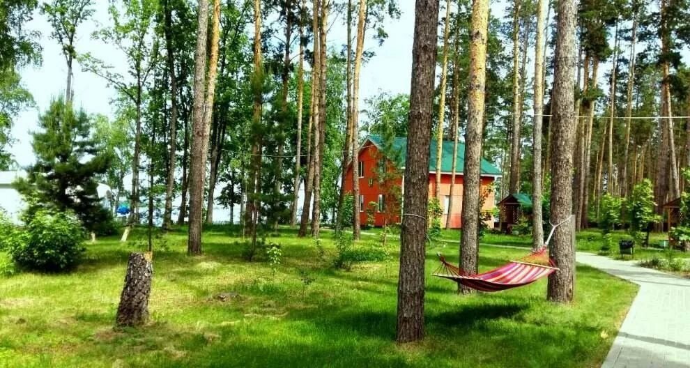 Лесная быль турбаза ульяновск официальный сайт фото Турбаза лес ульяновск
