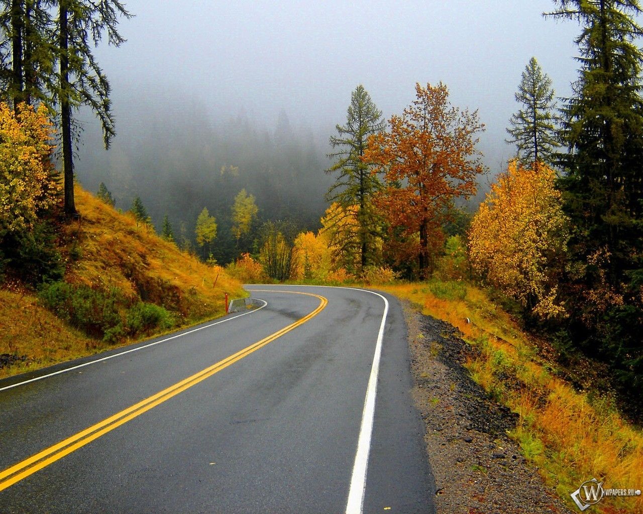 Лесная дорога осенью фото Image hd, Fond ecran paysage, Paysage