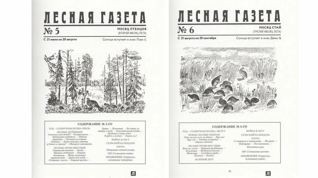 Лесная газета фото Газета леса