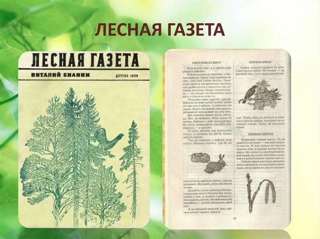Лесная газета фото Литературный час "Жизнь лесных обитателей В.Бианки" 2023, Острогожский район - д