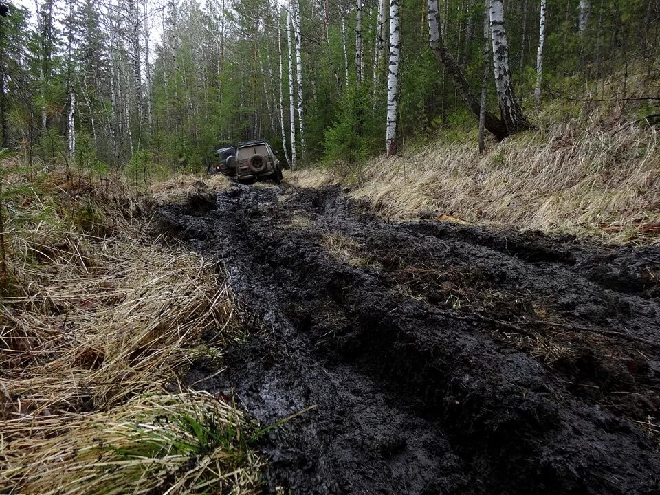 Лесная грязевая дорога фото Лес, дороги, грязь и май с полироФФкаю Встречай - Subaru Forester (SF), 2,5 л, 2